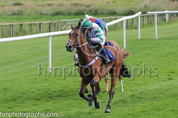 01st Another Choice (1 , green and white hlvs ) Jockey: Paul Townend , Trainer: Matthew J Smith