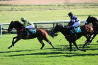 01st Laughing Trix and C D Maxwell ( 10 , blue and black diamonds ) Trainer - D A McLoughlin , Owner - Michael Joseph Doyle