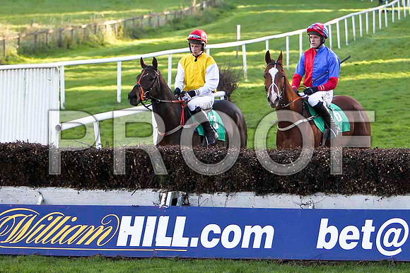 Goldon Grimshaw , Jockey E J O'Connell - Fell & Mcswynnes Bay , Jockey Andrew J McNamara - 5th - CU2D9432-e