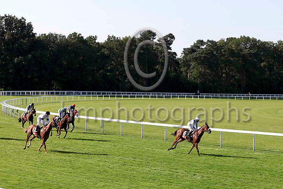 R6 - Dungannon & J Fortune - 5th (6, white, royal blue epaulettes) - IMG_0015-e