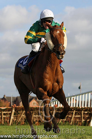 16 Dear Boss & A P McCoy - 16th (10, emerald green and orange hooped) - FT8E9946-69