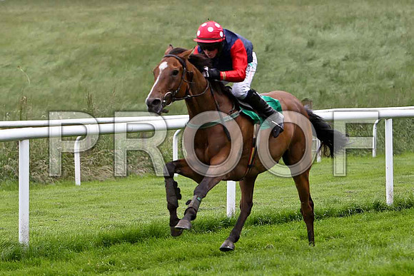 Promise Maker 5th, Jockey C O 'Farrell- CU2D0791-e