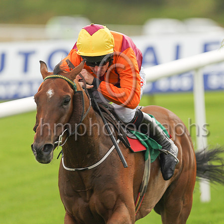 02nd Mountain Rock and D N Russell ( 2 , maroon, orange chevron ) Trainer - A Keatley , Owner - M P Fitzgerald