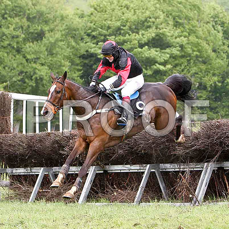 Maypole Dancer, Unplaced, Jockey C Cully - FT8E2545-e