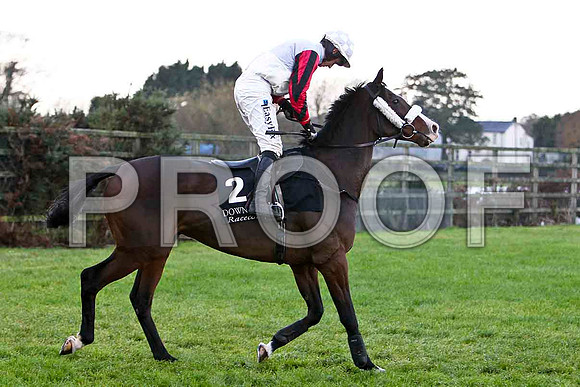 Jigalo - 3rd - Jockey D J Condon - CU2D0784-e