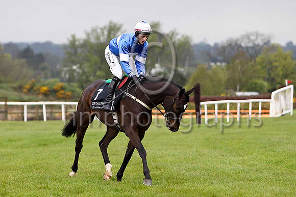 ItsNotEasyTed ( 7, royal blue, white hoop) & E J O'COnnell - 7thFT8E2629-e
