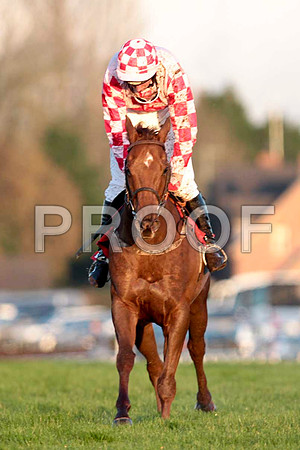 Ask The Farmer - 12th , Jockey Mr C S McGuinnness - CU2D9997-e