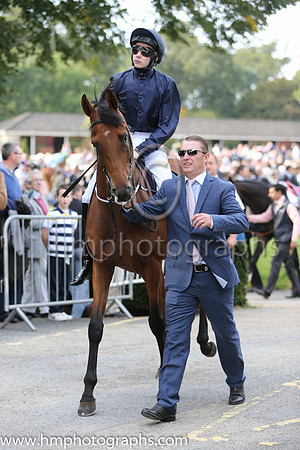 Blue Hussar and J P O'Brien - - 8th (6 ,dark blue ) Trainer - A P O'Brien