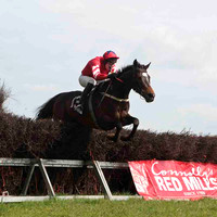Traad Bay , 4th, Jockey - W Thompson -CU2D4572-e