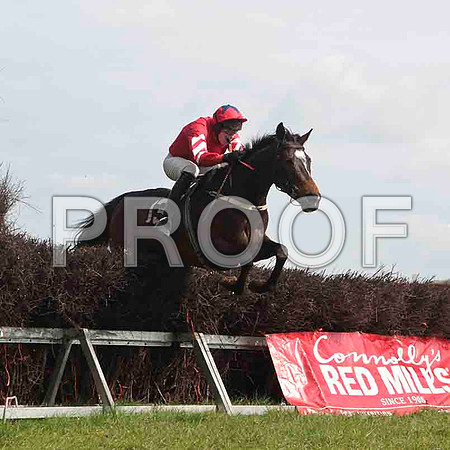 Traad Bay , 4th, Jockey - W Thompson -CU2D4572-e