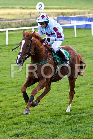 Adrioneo , Jockey Ben G Crawford - PU - CU2D9447-e