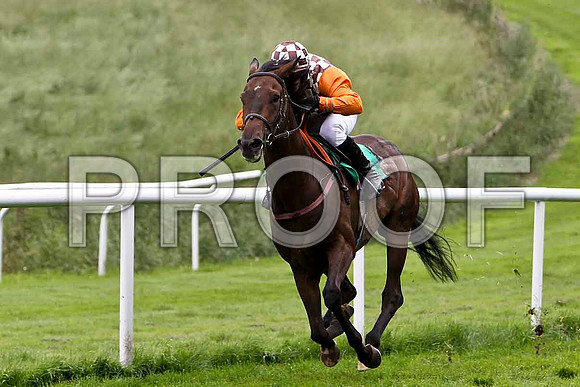 Down the Dale , Winner , Jockey T C Carroll - CU2D0782-e