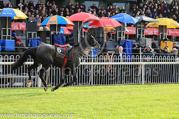 F Woodford Island and K M Donoghue ( 6 , green, red spots ) Trainer - G Elliott , Owner - T J Doran