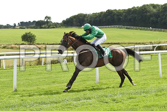 Nivek's Dream , 5th, Jockey A P Thornton- FT8E2958-e