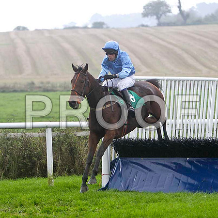 Slivegullion Girl , 11th - Jockey J L Cullen - FT8E5248-e
