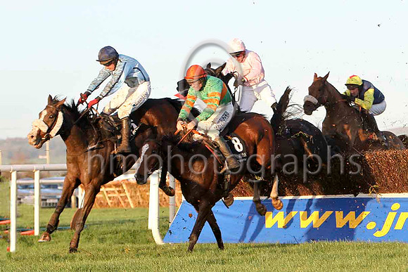 Jigalo 2nd, Banna Man 4th, Pink Suitcase 7th & Cottage Oak 3rd - FT8E6708-e