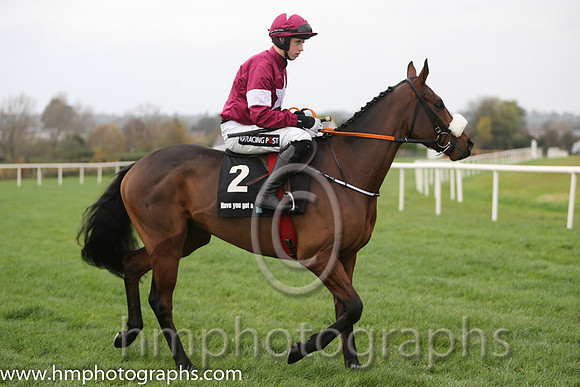 07 Tiger Roll and B J Cooper - PU - 07th (2 ,maroon white star ) Trainer - G Elliott