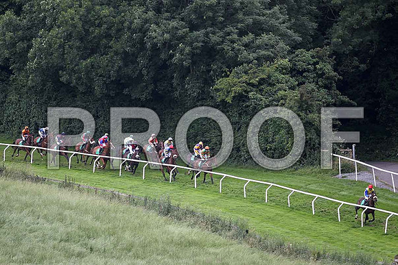 High Talk in th elead, 5th, Jockey P D Kennedy - FT8E1734-e