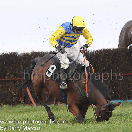 SHIPWRECK and N McParlan ( 9 , ROYAL BLUE  YELLOW HOOPS; yellow sleeves; yellow cap ) Trainer: C.A. McBratney , Owner : Templeburn Racing Syndicate