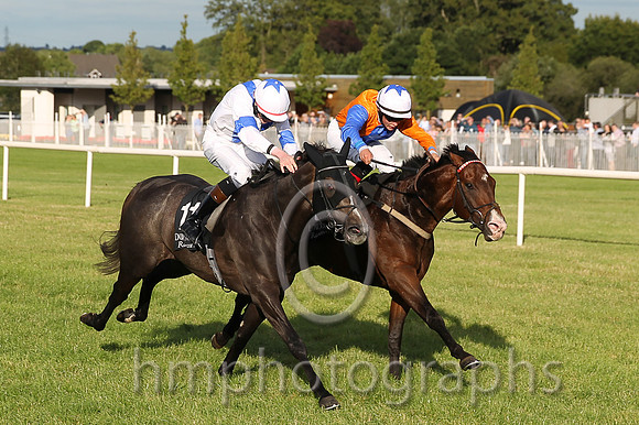 1st No 8 Plough Boy (IRE) (14) - Jockey: R P Downey (5) - Trainer: G Donnelly - Colours: orange  blue hlvd