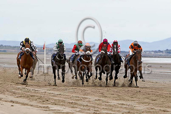 Racing on the beach at Laytown  - FT8E4130-e