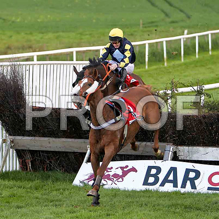 Rosiel , 12th, Jockey - E F Power - FT8E3095-e