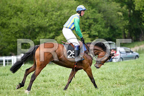 Fifth Race Div 1 - Graciemm (25) PU, Rider P E Turley - CU2D9644-e
