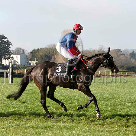 Forestside - 8th, Jockey - K M Donoghue - FT8E6859-e2