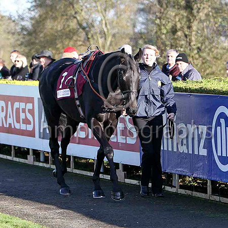 The Nightingale -  3rd , Jockey P Carberry  -  FT8E6960-e