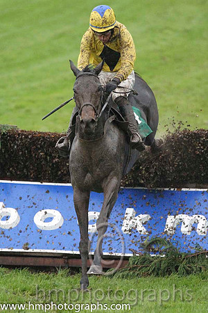 08 Lilly The Lioness & M P Fogarty - 8th (4,yellow, black diamond ) - FT8E9123-28