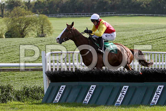 Bachelor Lad, winner, Jockey Andrew McNamara - FT8E2858-e