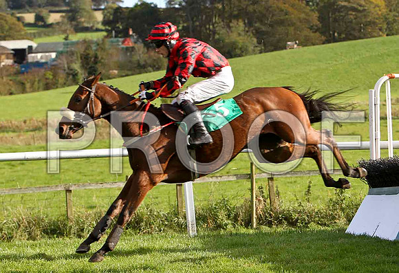 Coosan Belle , Jockey E J O'Connell - 11th - CU2D9262-e