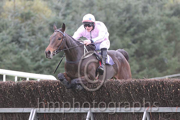 01 Abbey Grey & R James - winner (7, pink, grey stars) - FT8E0591-33