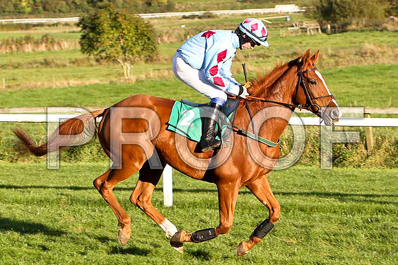 Adrianeo , Jockey Mr Ben  G Crawford - PU - CU2D9407-e2