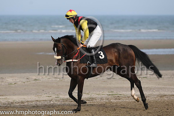 1 Prince Jock and Mr R P Quinlan - - 1st (3 ,black, red epaulettes ) Trainer - John Patrick Shanahan