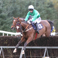 06 OneHellOfANiceGuy & David Joseph O'Leary - 6th (13, emerald green, white hoop) - FT8E0575-22