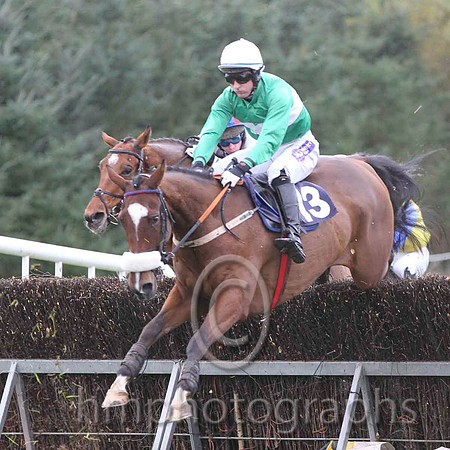 06 OneHellOfANiceGuy & David Joseph O'Leary - 6th (13, emerald green, white hoop) - FT8E0575-22
