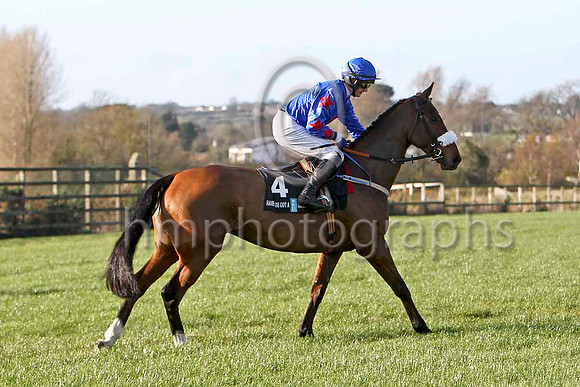 Macville , 4th - Jockey P Townend - FT8E6528-e
