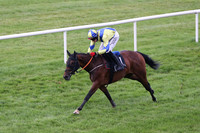 01st Rock On Rosie ( 1 , yellow, royal blue cross sashes ) and Shane Shortall (5) - Trainer : Adrian Brendan Joyce - Owner : Mrs Geraldine Devine