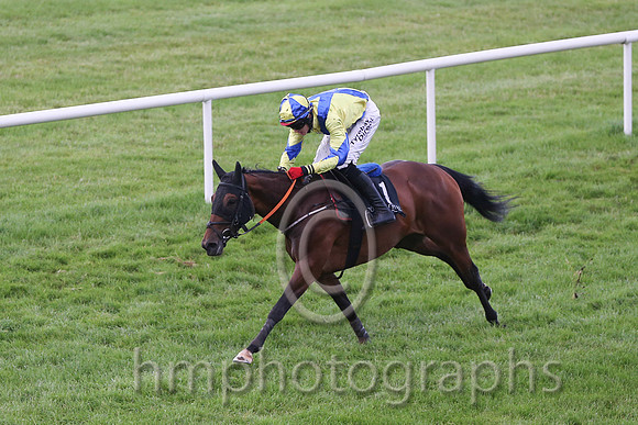 01st Rock On Rosie ( 1 , yellow, royal blue cross sashes ) and Shane Shortall (5) - Trainer : Adrian Brendan Joyce - Owner : Mrs Geraldine Devine