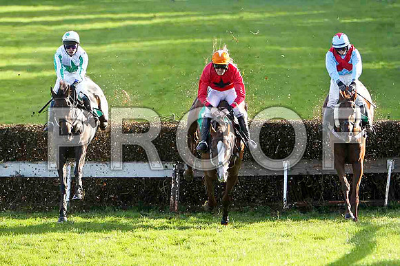 Respectueux 5th, Bachelor Lad 8th & Bennys Quest 7th -FT8E4846-e