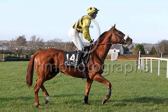 Mulleady , 11th - Jockey R M Moran - FT8E6395-e