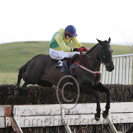 01 Mr Bolt  D H Lavery - Trainer : Sean McParlan, Black and tan check