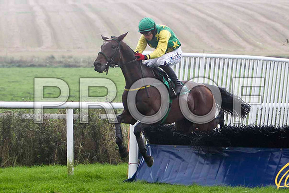 He's A Delight - Winner , Jockey D J Condon - FT8E5227-e