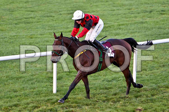 Dylan Ross - Winner - Jockey - Miss N Carberry  - CU2D0848-e