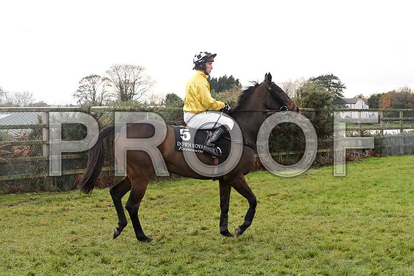 Trotsky , Jockey M W Bowes - 10th  - FT8E4863-e