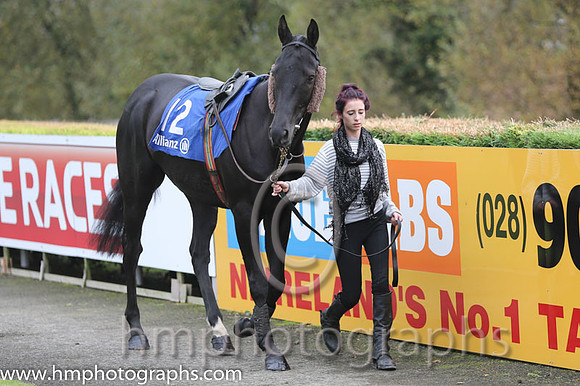 10 Arquebusier and D J Casey - - 10th (12 ,maroon and white stripes ) Trainer - A L T Moore