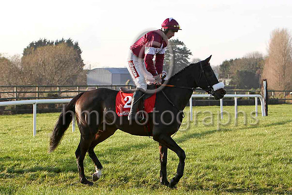 Roi Du Mee , 2nd - Jockey D N Russell - FT8E7030-e