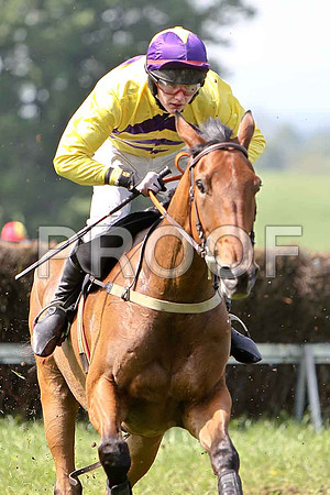 Third Race - Mia's Vic (9) 3rd, Rider D R Fox - CU2D9595-e