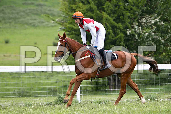 Rush 'n' Roll , PU, JOckey - A J Doyle - FT8E2384-e